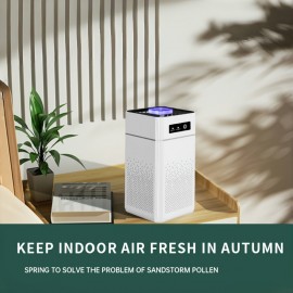 1pc HEPA Air Purifier, True Filter 99.98% Efficiency, Smoke/Dust/Pet Dander Remover, Home/Office Use, Quiet Operation, Compact Design