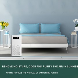 1pc HEPA Air Purifier, True Filter 99.98% Efficiency, Smoke/Dust/Pet Dander Remover, Home/Office Use, Quiet Operation, Compact Design